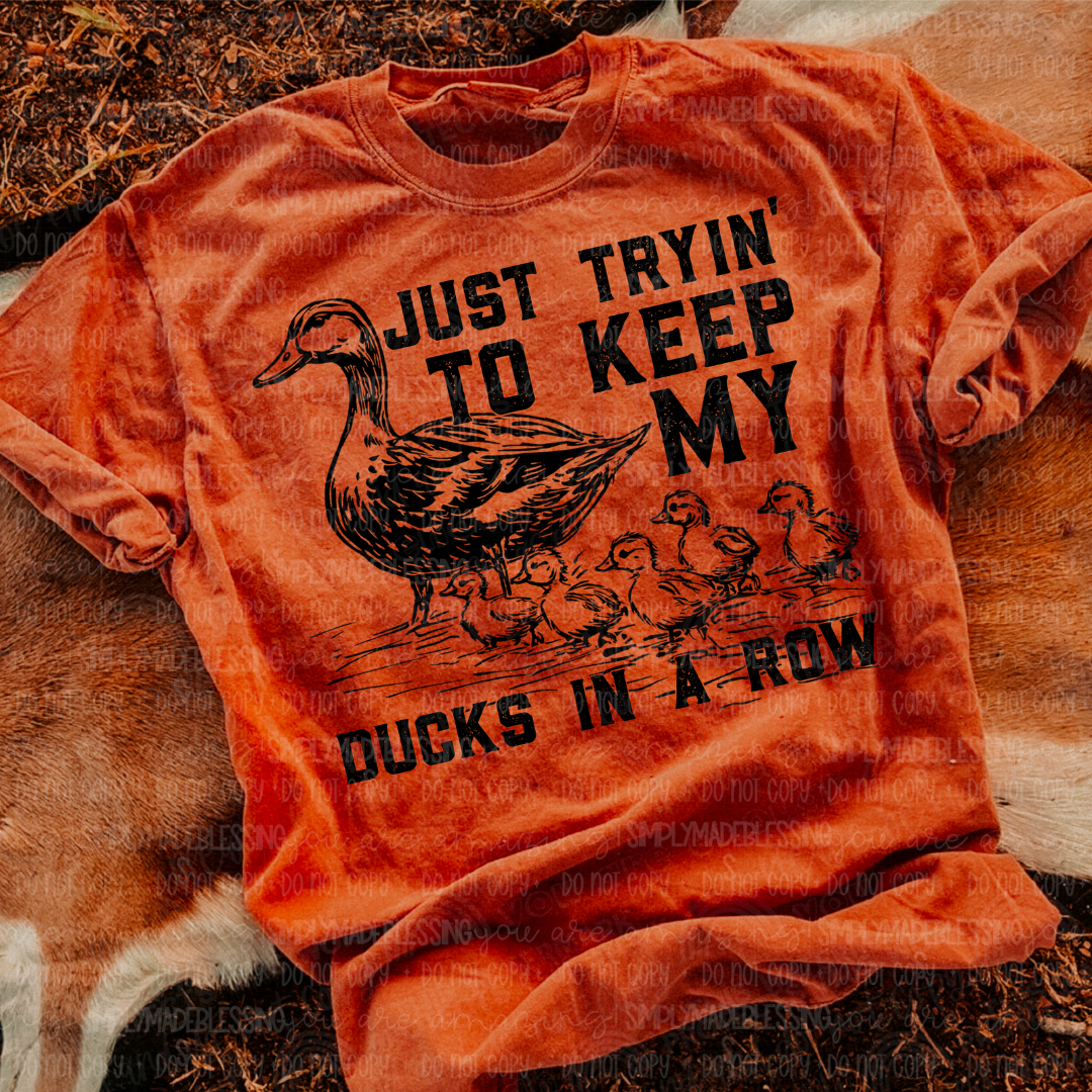 Ducks in a Row Design