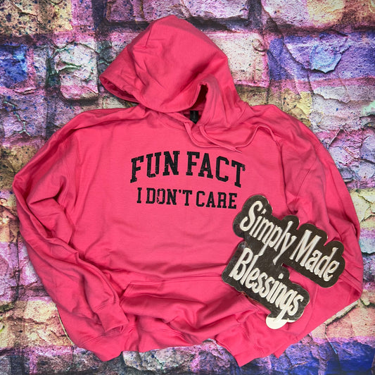 Fun Fact I Don't Care Sweatshirt