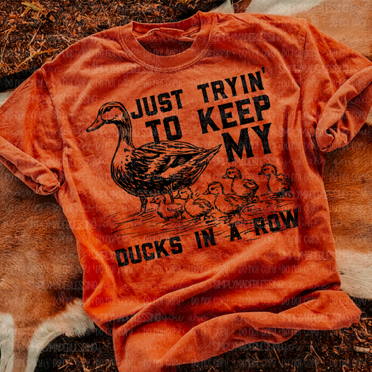 Ducks in a Row Design